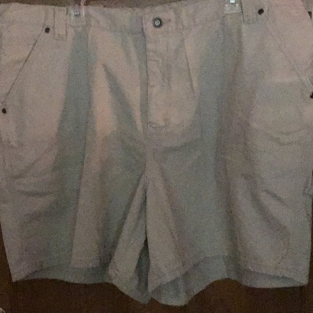 Lee Carpenter Shorts, New with Tags